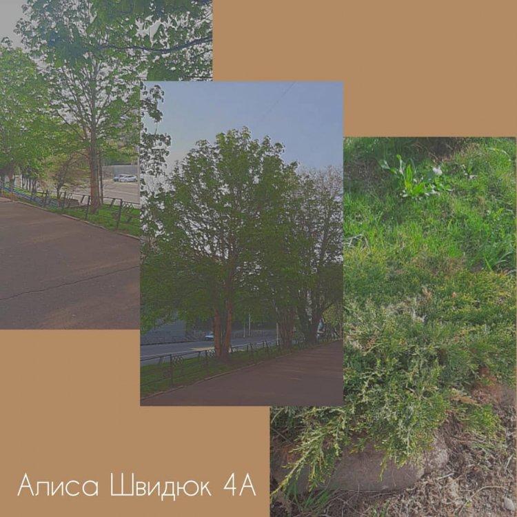 Фотоконкурс " Мой  любимый  уголок  природы"
